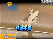 萬(wàn)能的朋友圈，如果你能解釋通這組圖；凈水設(shè)備就可以不要了